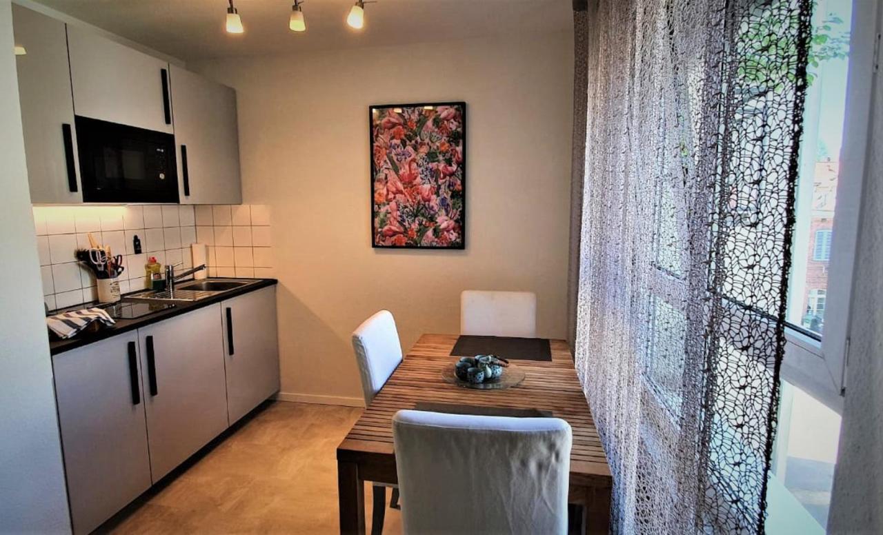 Deluxe Apartment Flamingo In Paradise Freiburg im Breisgau Buitenkant foto
