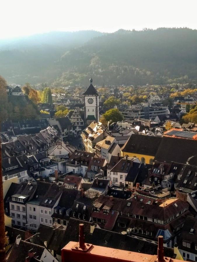 Deluxe Apartment Flamingo In Paradise Freiburg im Breisgau Buitenkant foto